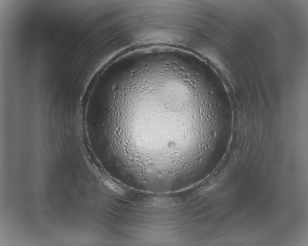 X0000071940933200607141429
