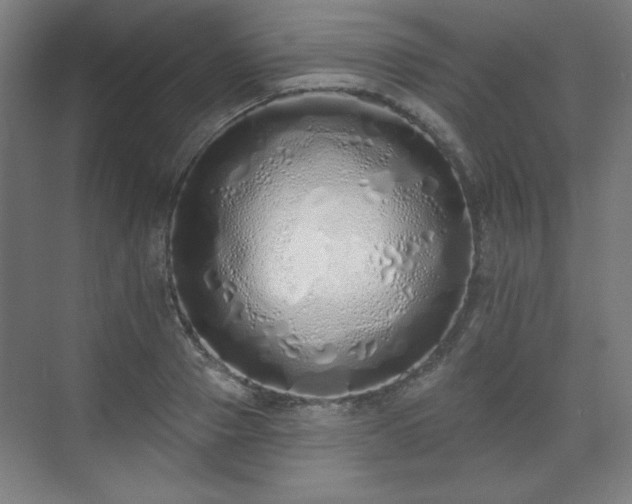 X0000071940937200607141429