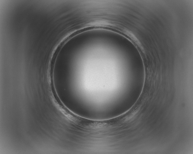X0000071940939200607141429