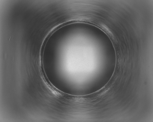 X0000071940940200607141429