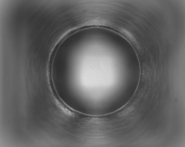 X0000071940942200607141429