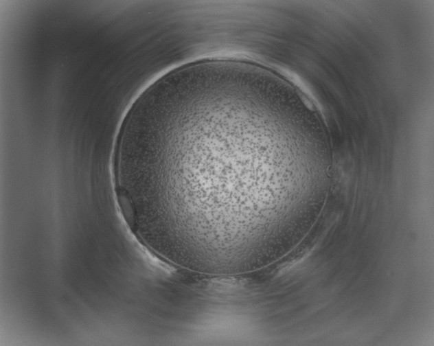 X0000071940959200607141430