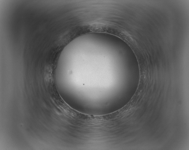X0000071940964200607141429