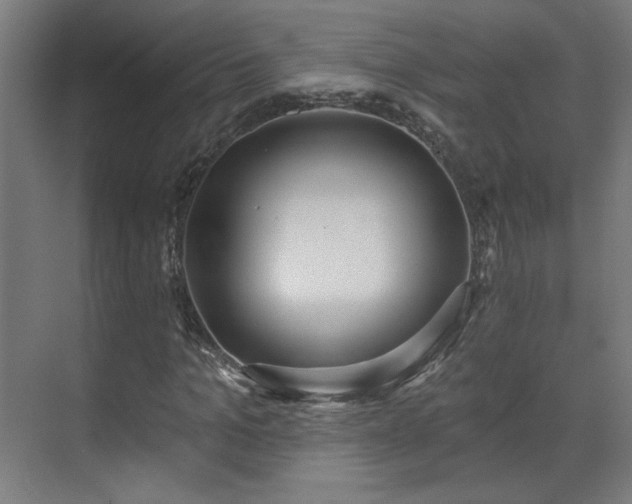X0000071940965200607141429