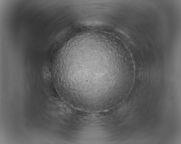 X0000071940966200607141429