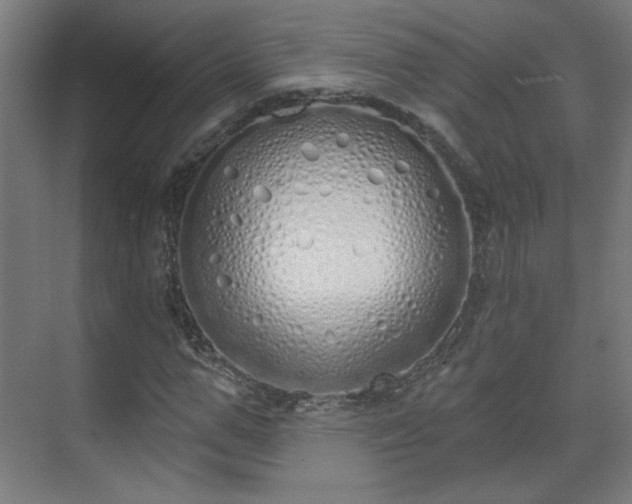 X0000071940967200607141429
