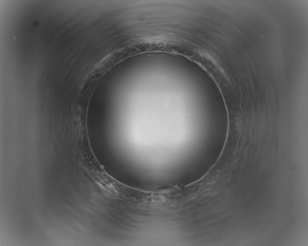 X0000071940968200607141429