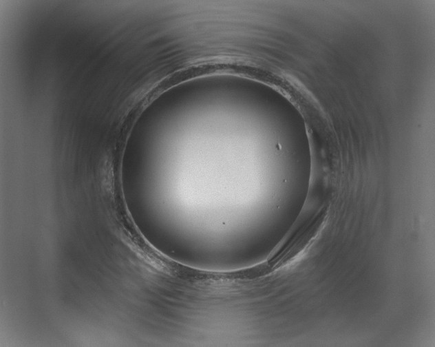 X0000071940969200607141429