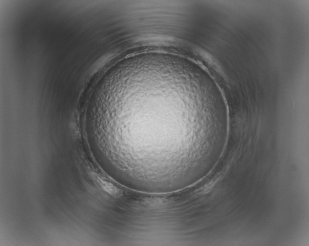 X0000071940970200607141429