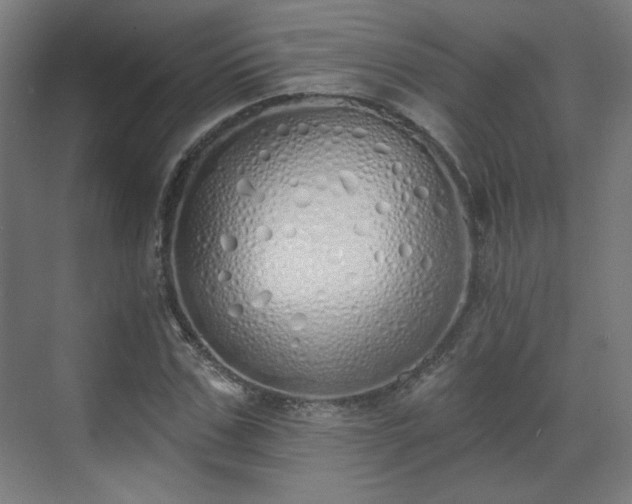 X0000071940971200607141429