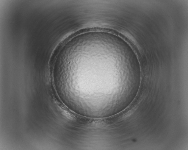 X0000071940974200607141429