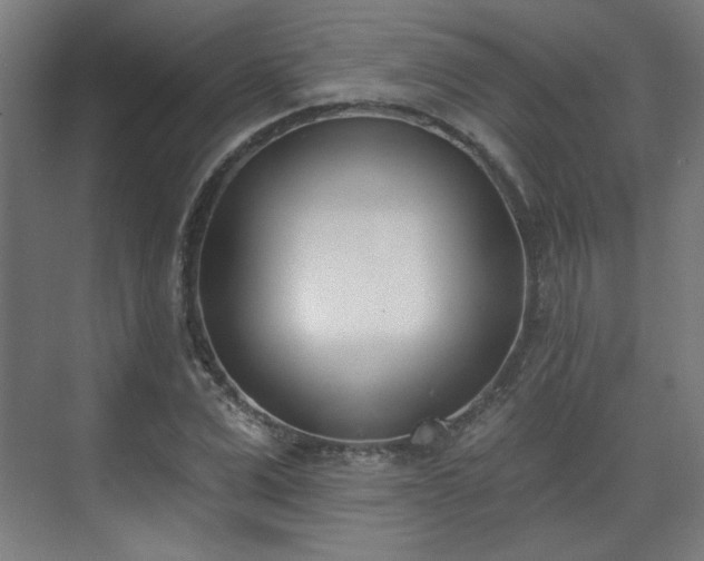 X0000071940975200607141429