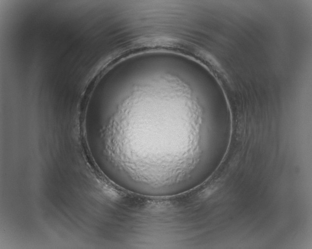 X0000071940978200607141428