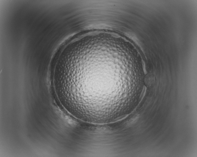 X0000071940979200607141428