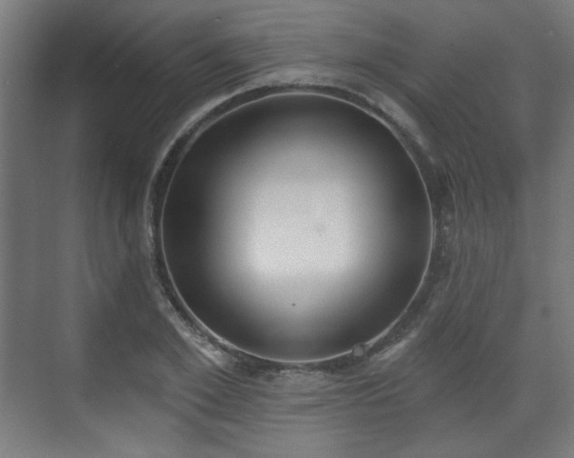 X0000071940981200607141428