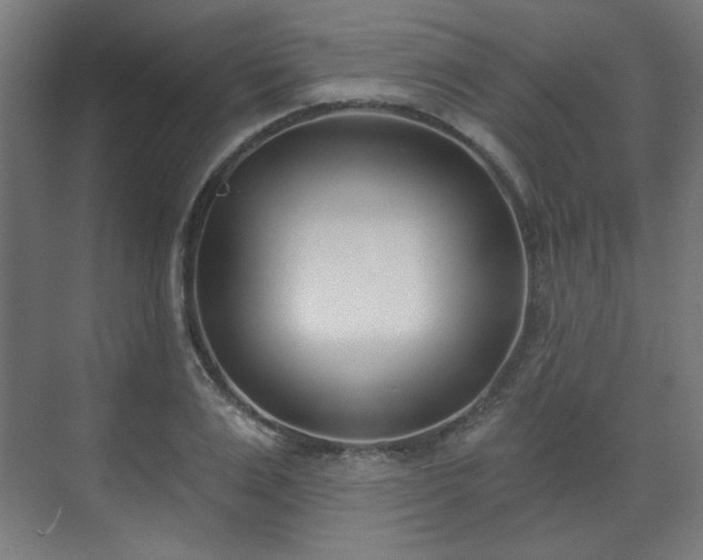 X0000071940983200607141428