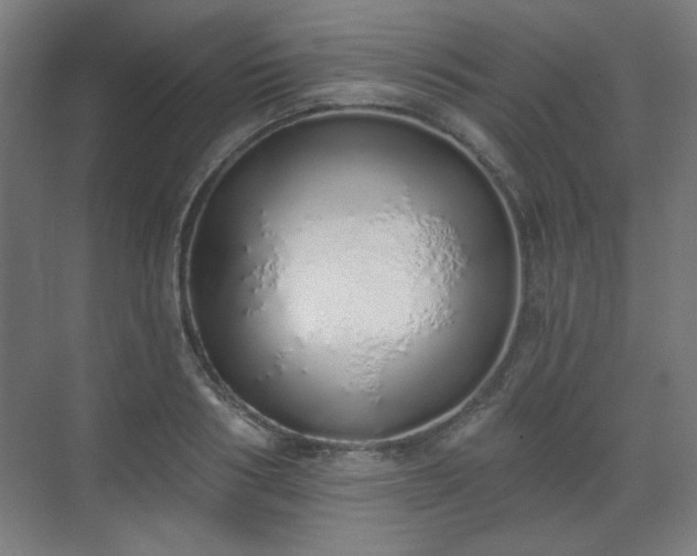 X0000071940986200607141428