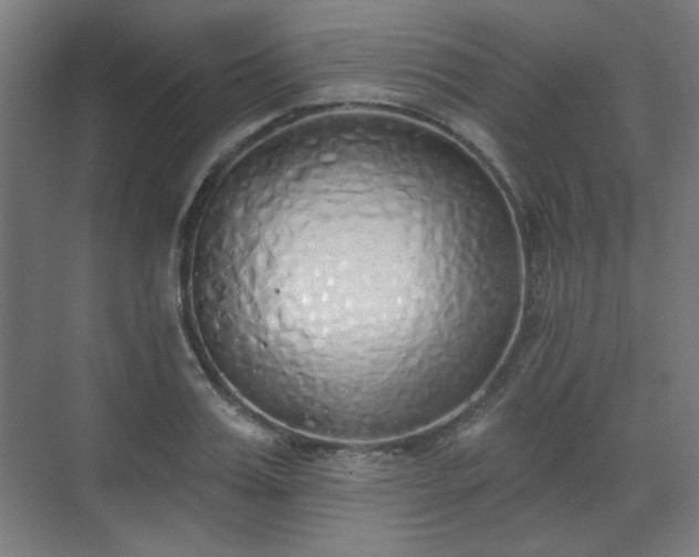X0000071940987200607141428