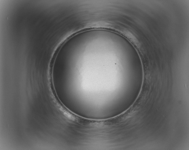 X0000071940990200607141428