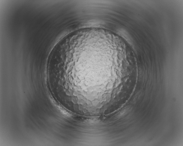 X0000071940994200607141428