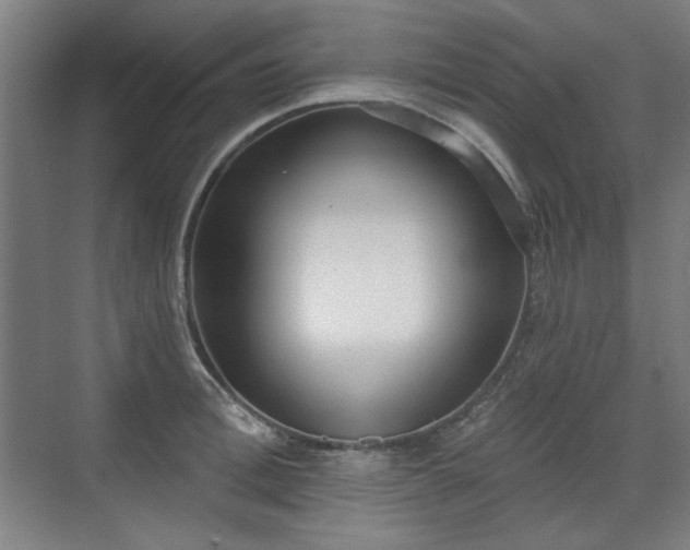 X0000071940996200607141428
