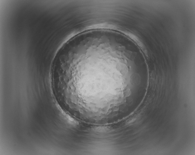 X0000071940998200607141428