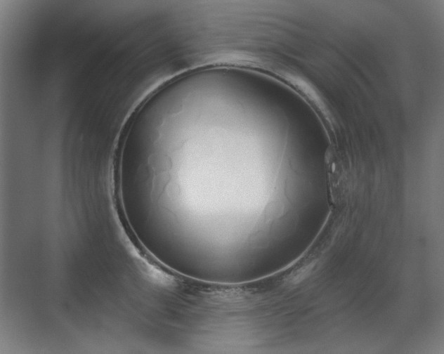 X0000071940999200607141428
