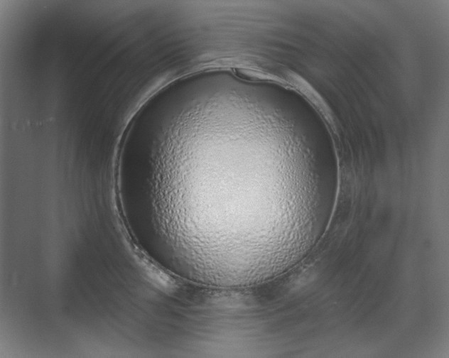 X0000071941002200607141428