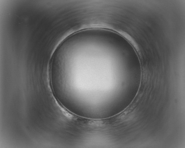 X0000071941006200607141428