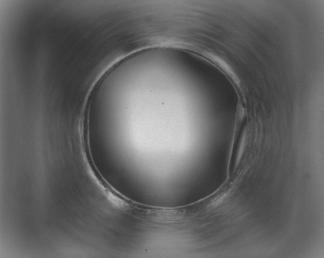 X0000071941007200607141428