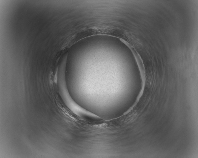 X0000071941010200607141427