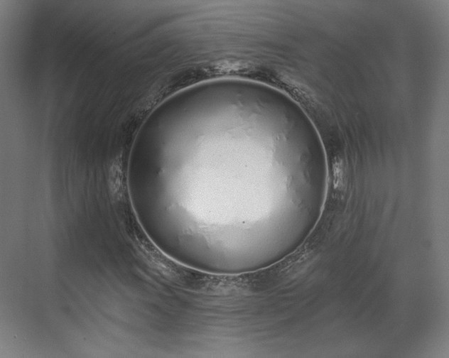 X0000071941011200607141427