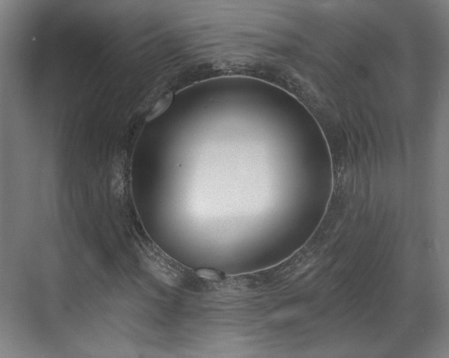 X0000071941012200607141427