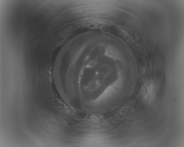 X0000071941013200607141427