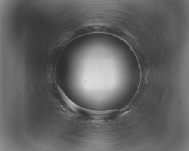 X0000071941014200607141427