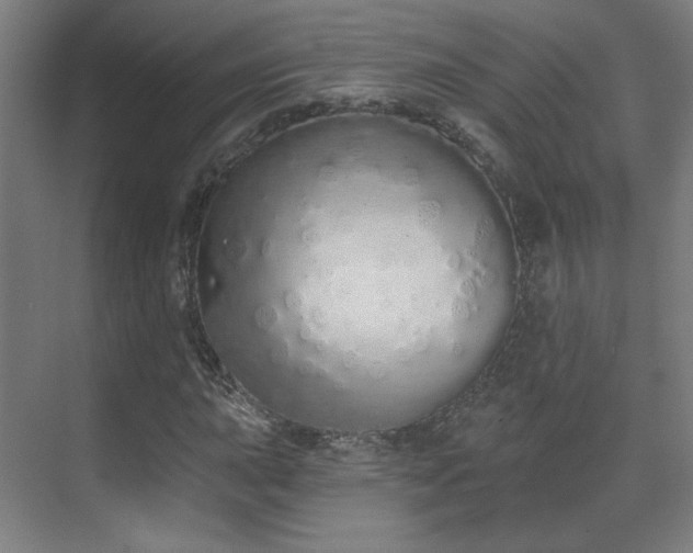 X0000071941015200607141427