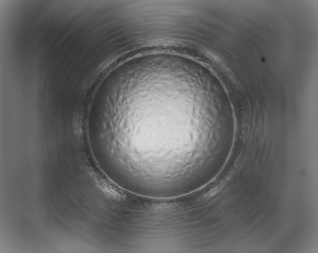 X0000071941017200607141427