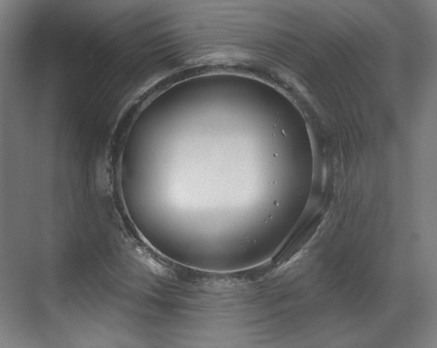 X0000071941018200607141427