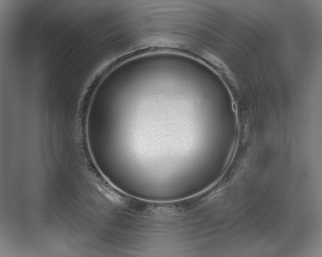 X0000071941027200607141427