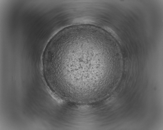 X0000071941031200607141428