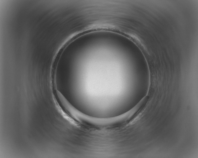 X0000071941038200607141428