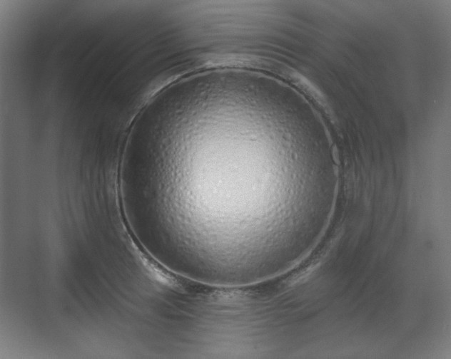 X0000071941041200607141428