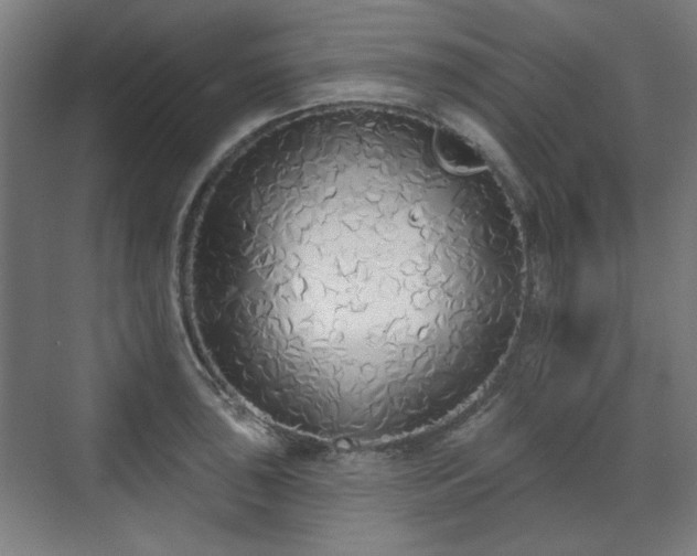 X0000071941043200607141428