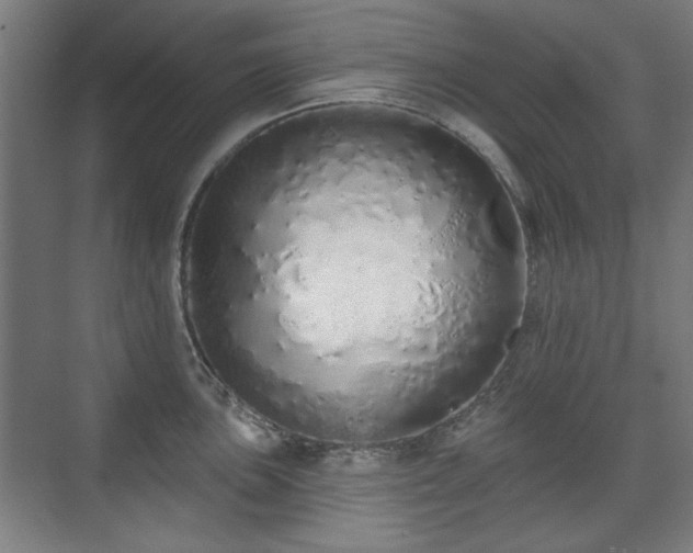 X0000071941051200607141428