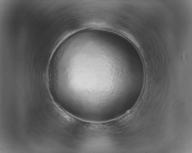 X0000071941056200607141428
