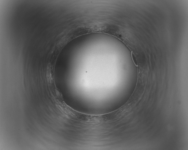 X0000071941058200607141427