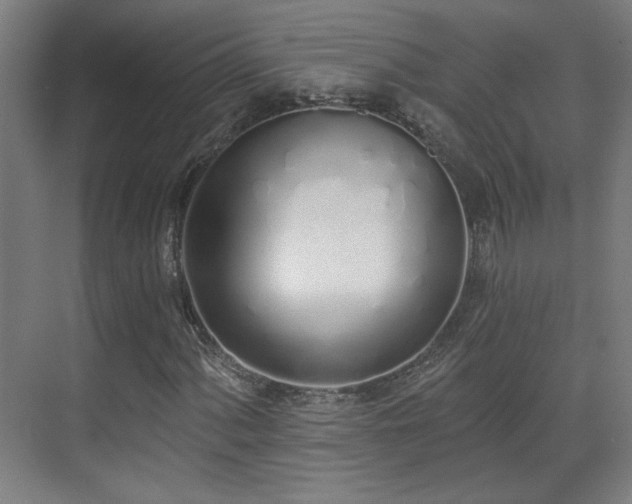 X0000071941060200607141427