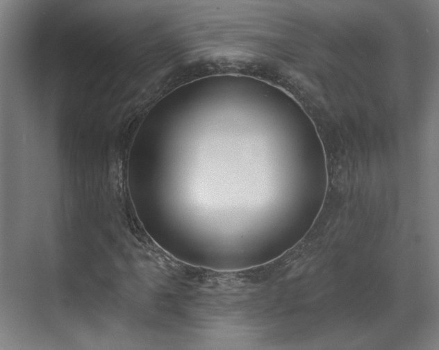 X0000071941061200607141427