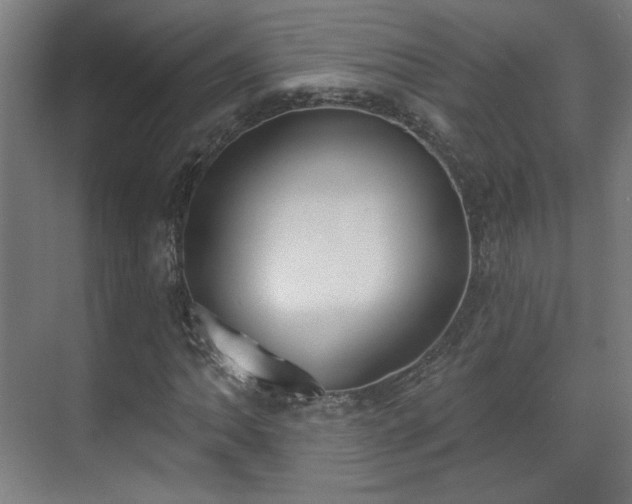 X0000071941062200607141427
