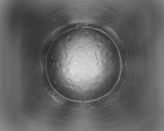 X0000071941064200607141427